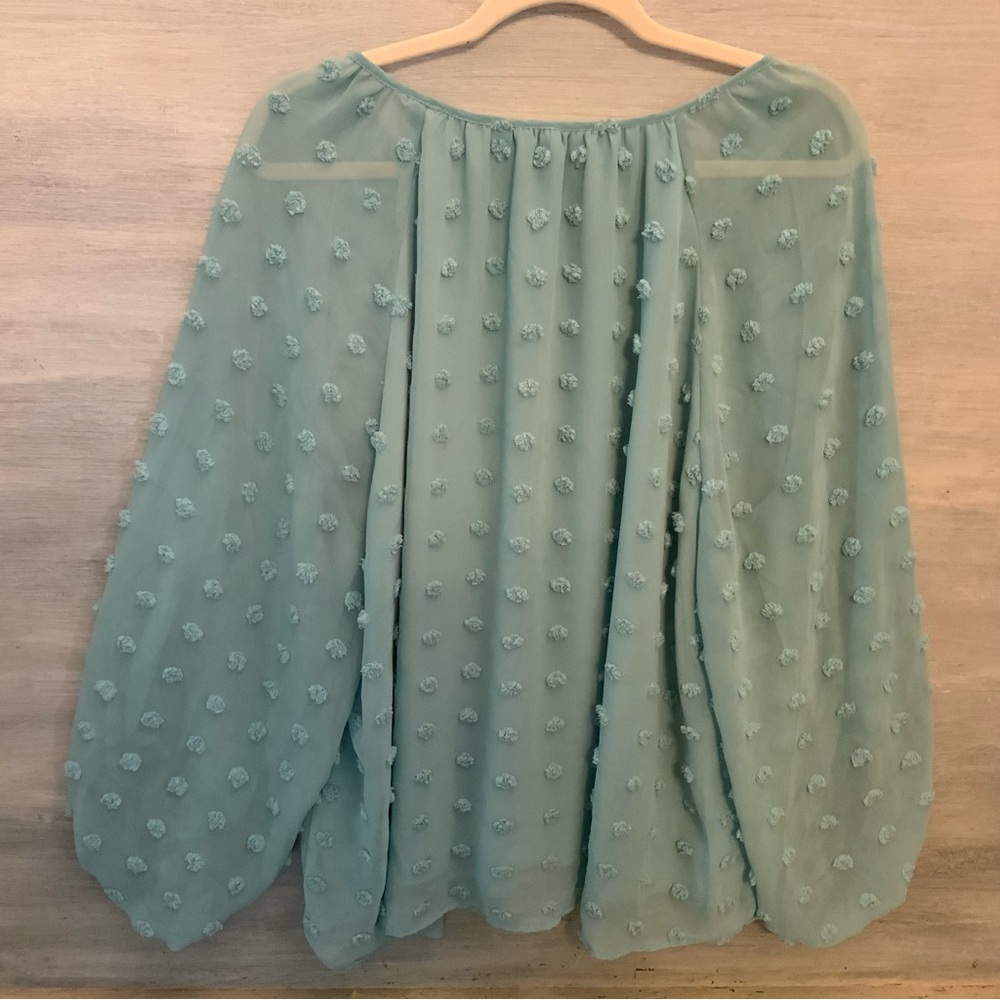 Cato‎ Est. 1946 Seafoam Green Swiss Dot Blouse 22/24 Good Condition - Picture 5 of 8